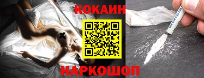 стаф Кунгур