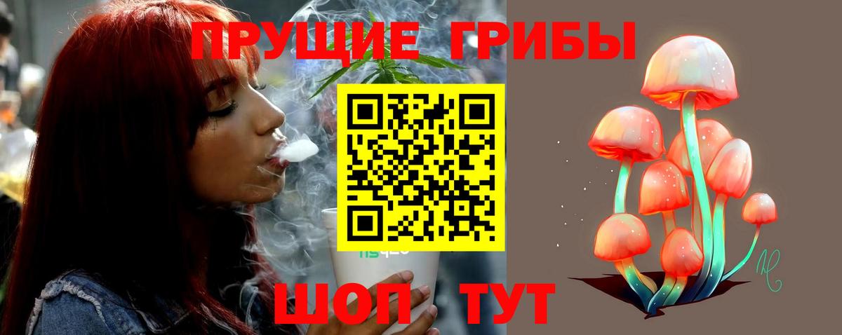 Галлюциногенные грибы мухоморы Златоуст